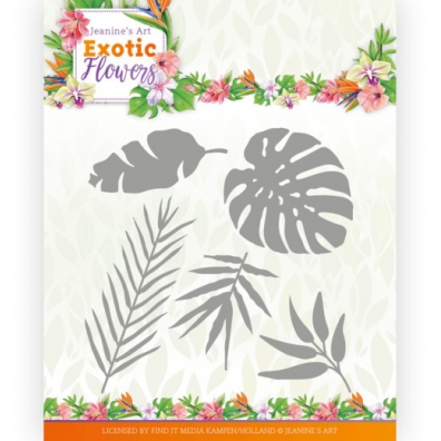 Exotic Flowers - Jeanine's Art - Exotic Leaves