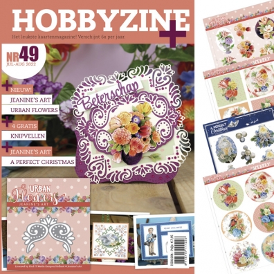 Hobbyzine + - nr 49