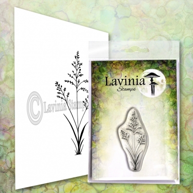 Lavinia - Orchard Grass