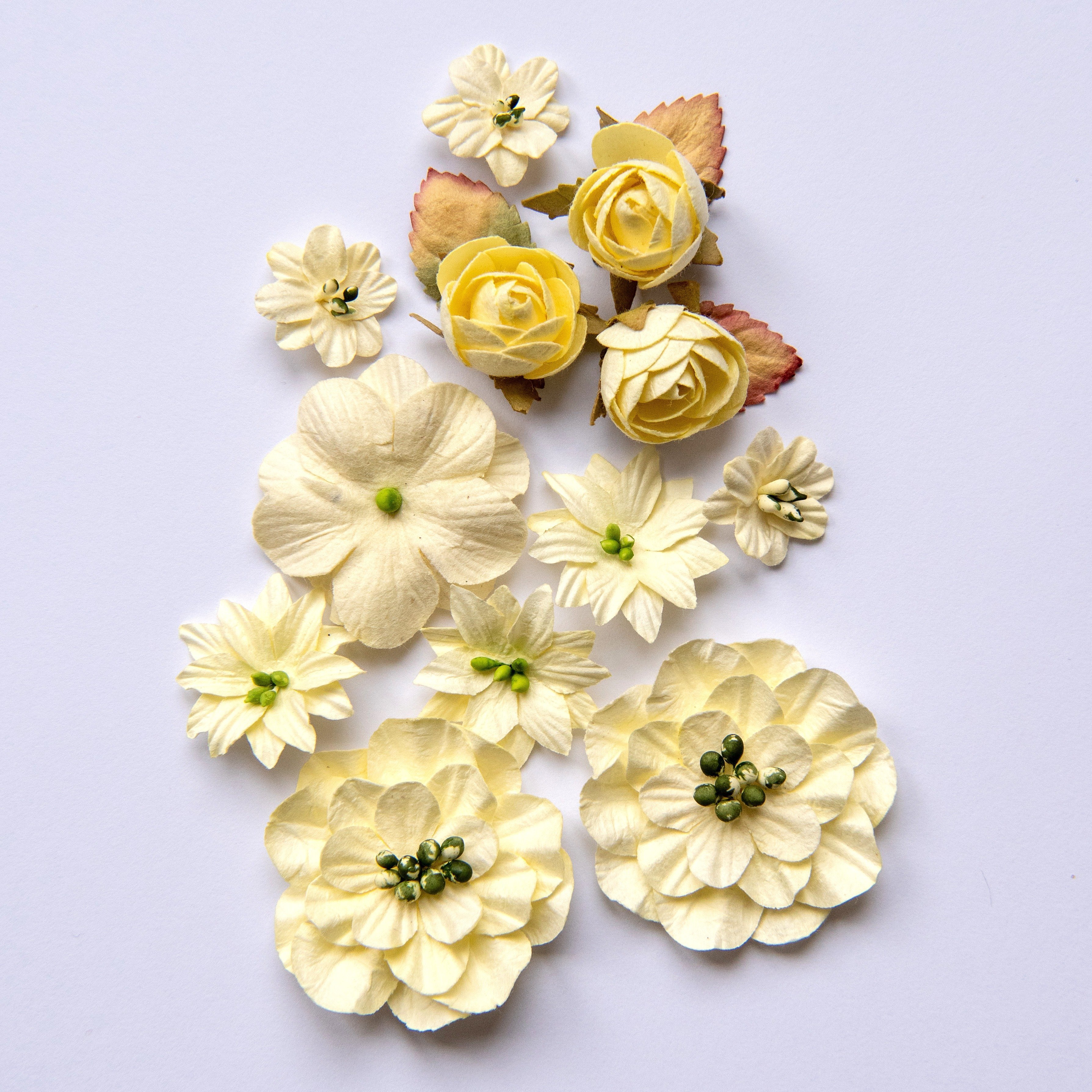 Country Blooms - Cream