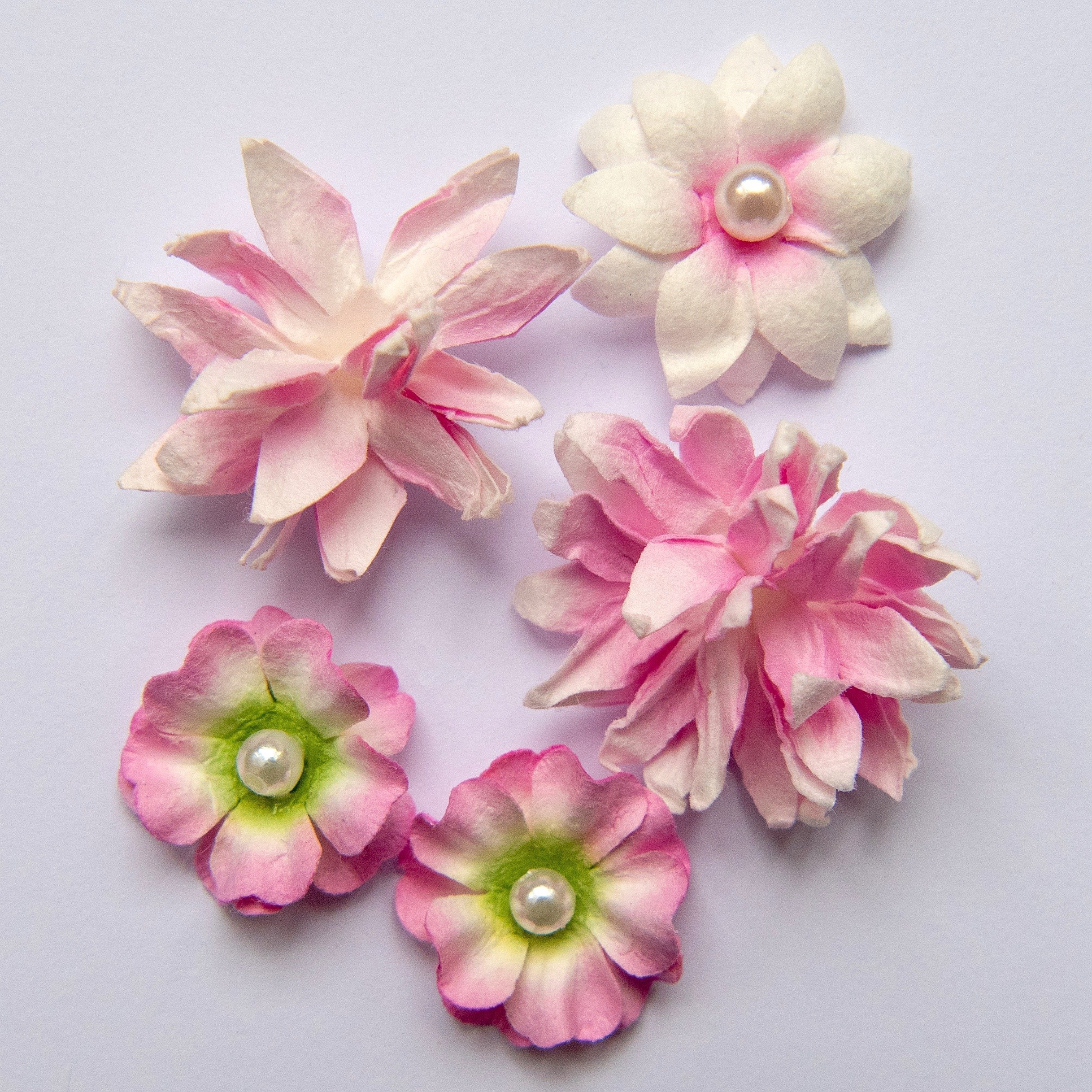 Flowers Mini Series 01 - Blush