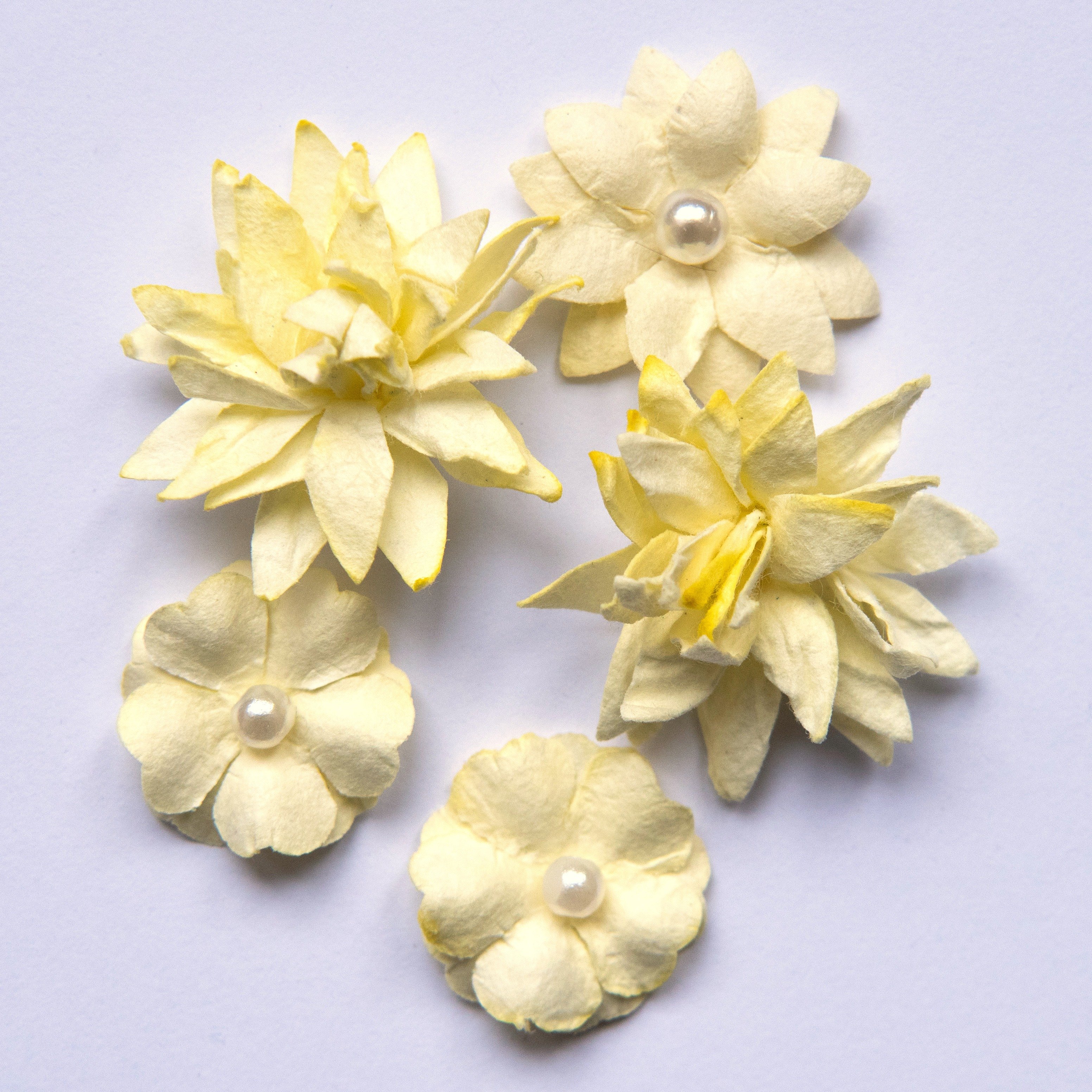 Flower Mini Series 01 - Cream