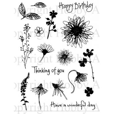 Hobby Art - Floral Sketches - Happy Birthday
